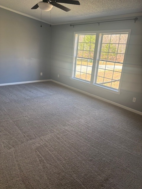 Building Photo - 397 Lester Dr