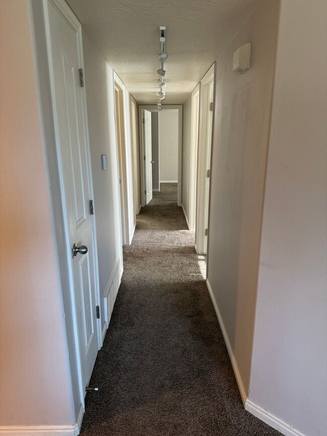 Building Photo - 3 bed 2 bath apartment