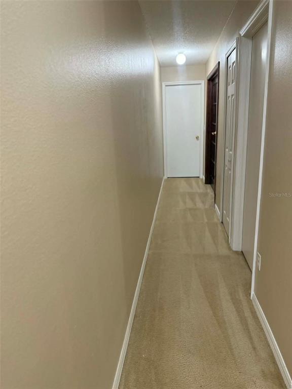 Building Photo - 2113 Fluorshire Dr