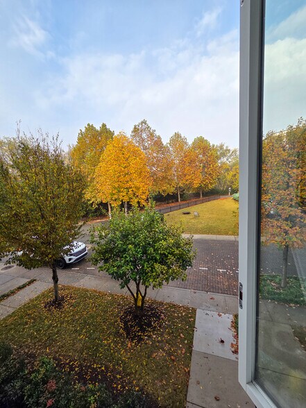 View from bedrooms 2 & 3 and front yard - 3125 Saint Elmo Ave