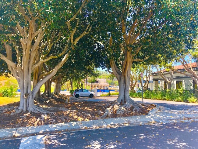 Building Photo - Sweet Single-Story, Completely Detached, in the Picturesque Fallbrook Village HOA Community!