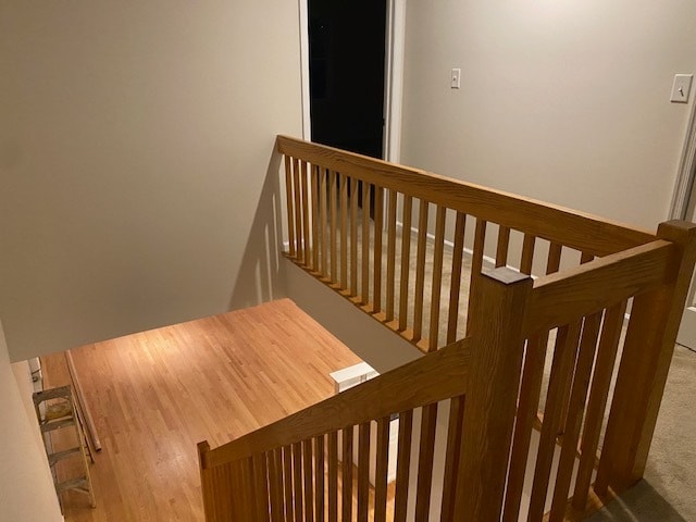 Looking down steps to Living - 29 W Wissahickon Ave