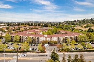 Aerial View - Bay View Vista