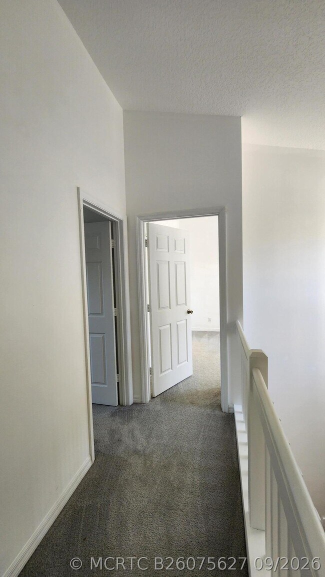 Building Photo - 271 Live Oak Ln