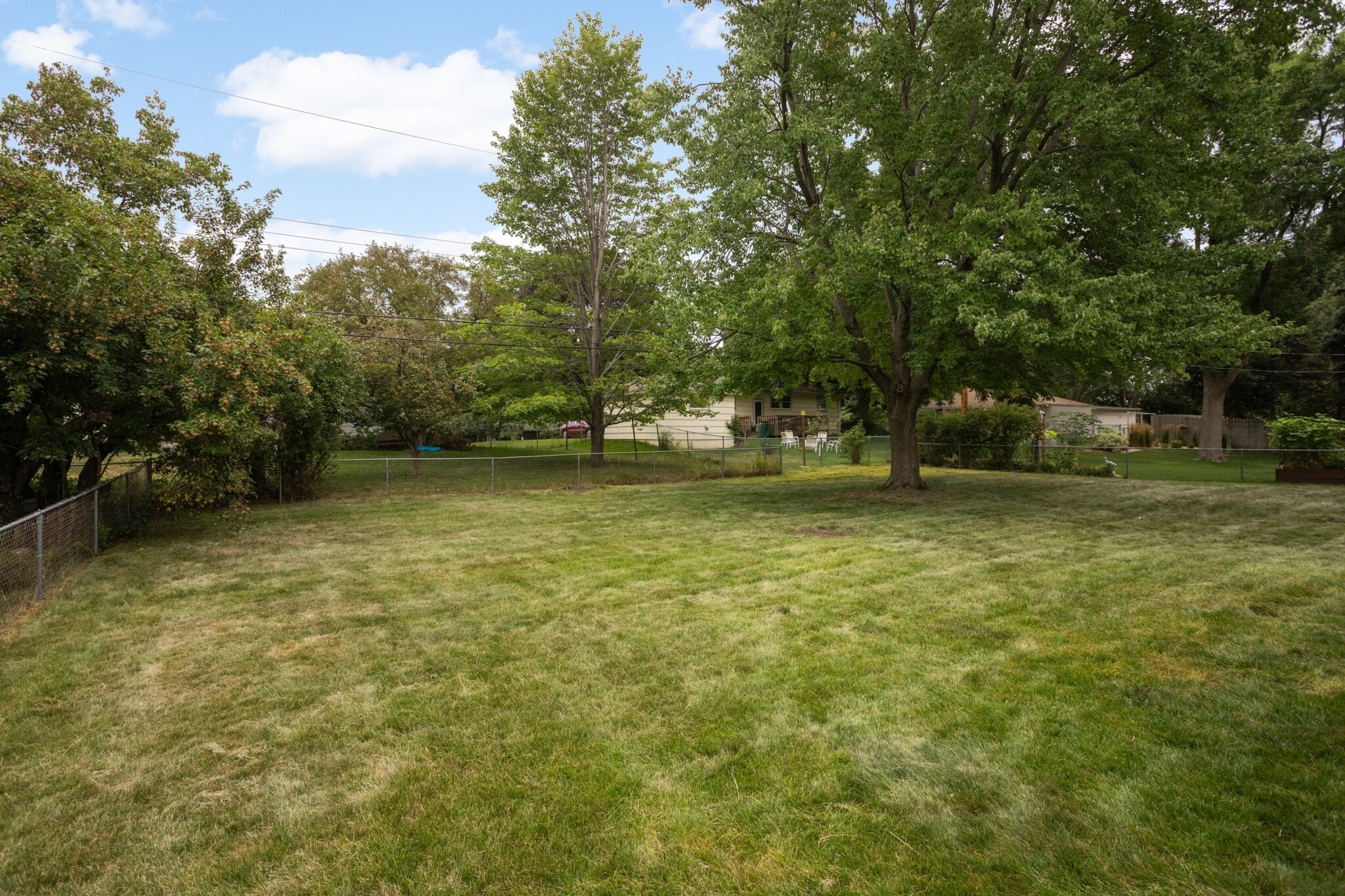 Yard - 2808 Aglen St