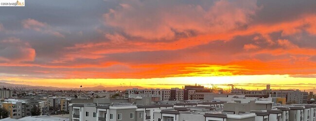 Building Photo - 311 Oak St