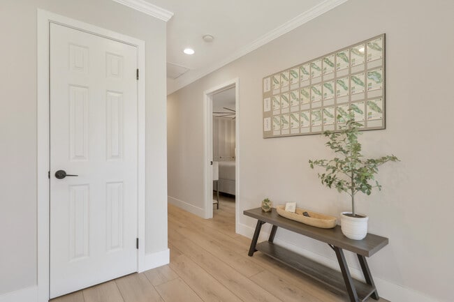 Building Photo - 236 Castellana S