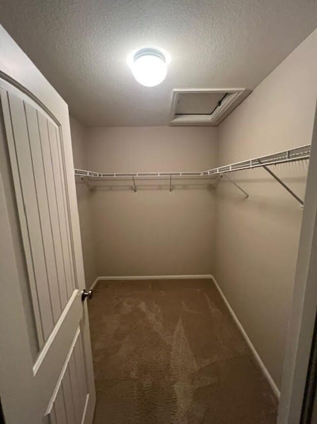 Building Photo - 4 bedroom 3 bathroom house AVAILABLE in Co...