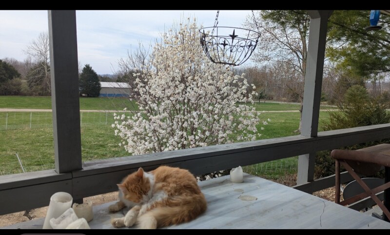 Building Photo - 16020 Union Rd