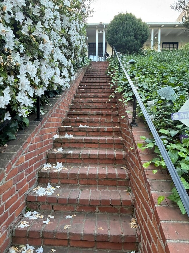 Building Photo - 1845 Pandora Ave