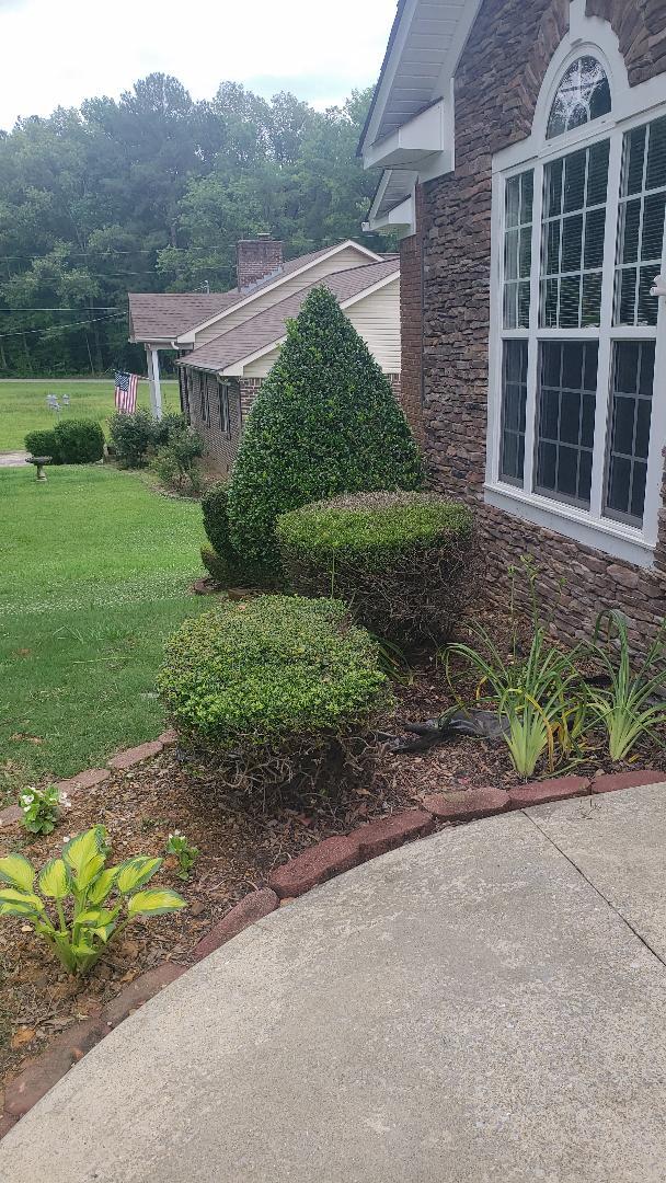 Building Photo - 350 Swindall Cir