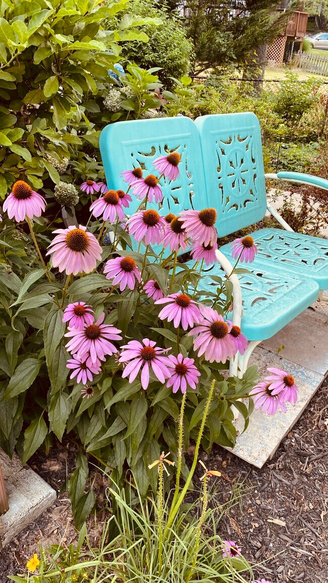 2502 Valley Way 2502 Valley Way Cheverly MD 20785 Apartment Finder