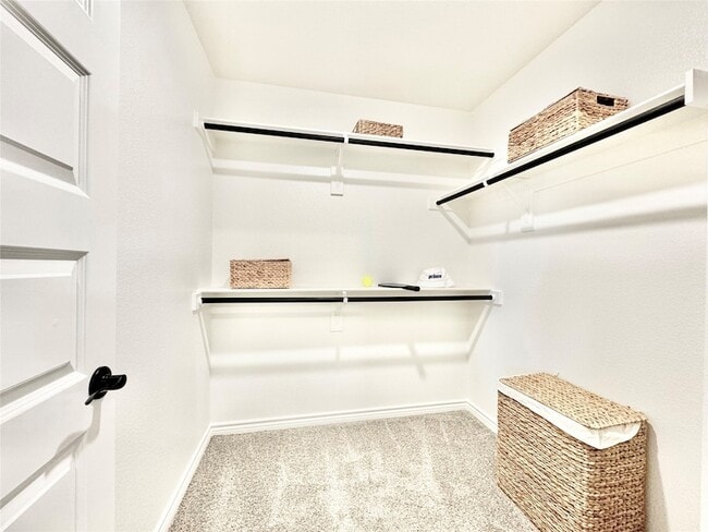 Building Photo - 8725 Scotty's Lk Ln