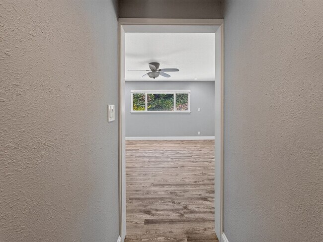 Building Photo - Gorgeous Single Level Home with Pool in Alamo Available Now!