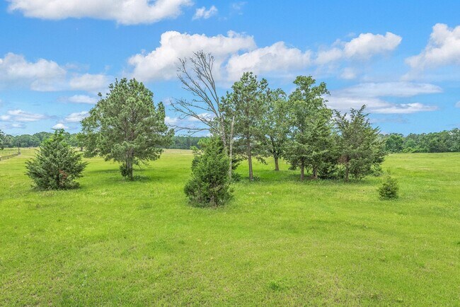 Building Photo - 10 acres with 3/2 cabin for rent in Navaso...