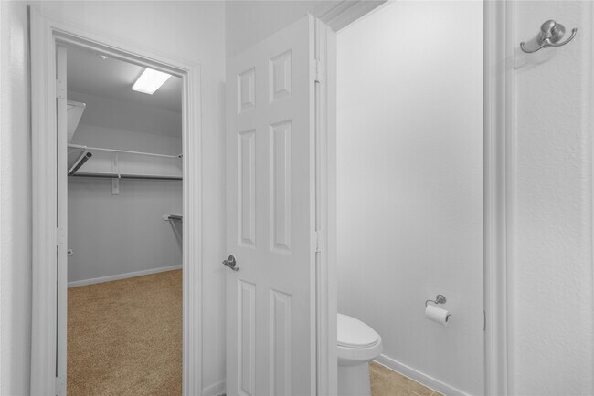 Building Photo - 31 Umbria Ln
