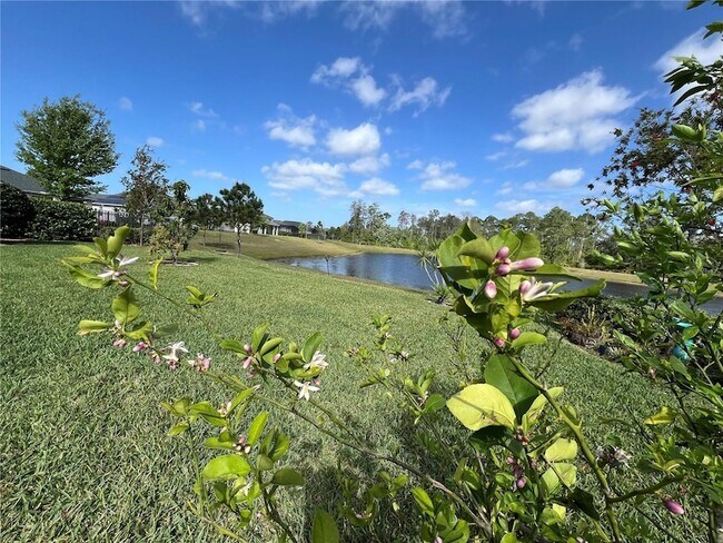 Building Photo - 17988 Passionflower Cir