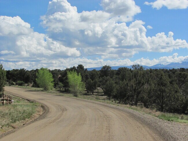 Building Photo - Charming Southwestern Stucco Home