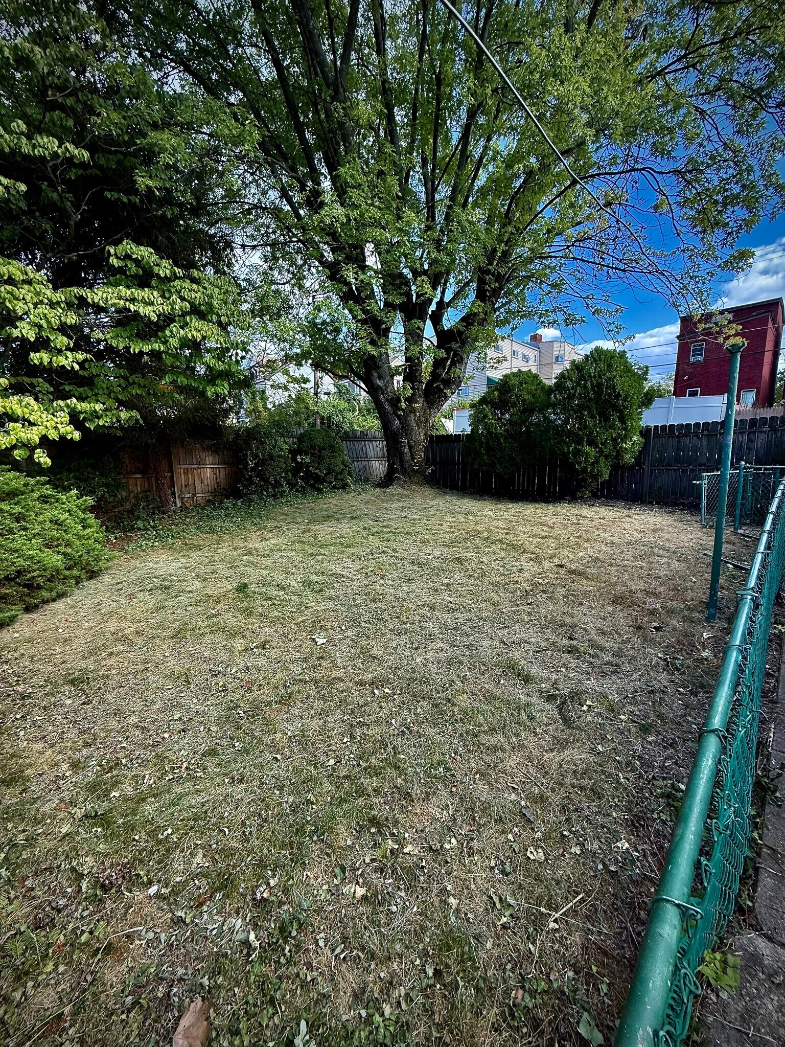Back Yard - 2024 Perrysville Ave