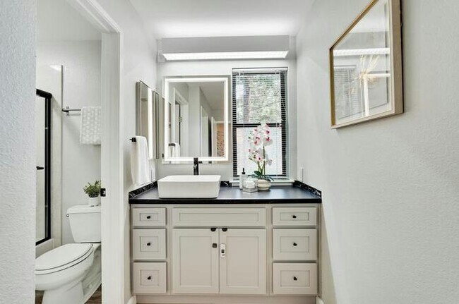 Building Photo - 716 San Conrado Terrace