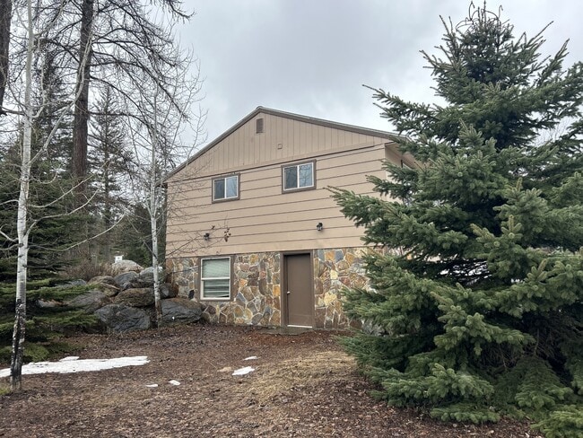 Building Photo - 2009 Lion Mountain Loop Rd