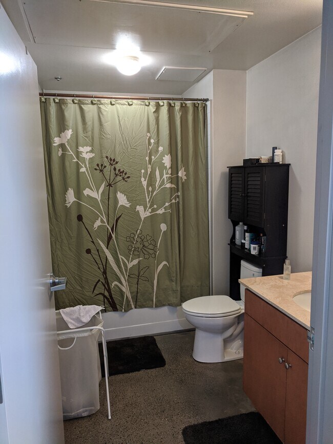 Guest bath - 435 W Center Street Promenade St