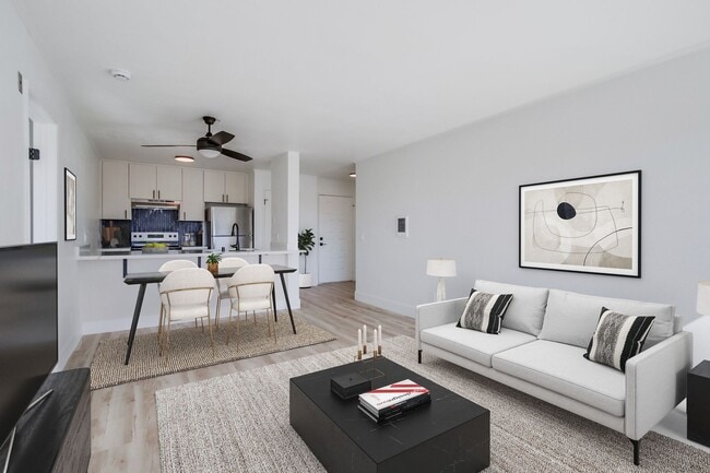 Interior Photo - The Lucci