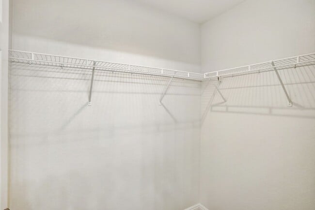 Building Photo - Beautiful 3 Bed Home With 3 Full Baths And Bed and Full Bath On 1st Floor