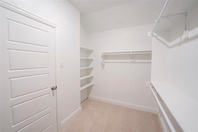 Building Photo - 4116 Limestone Blf Dr