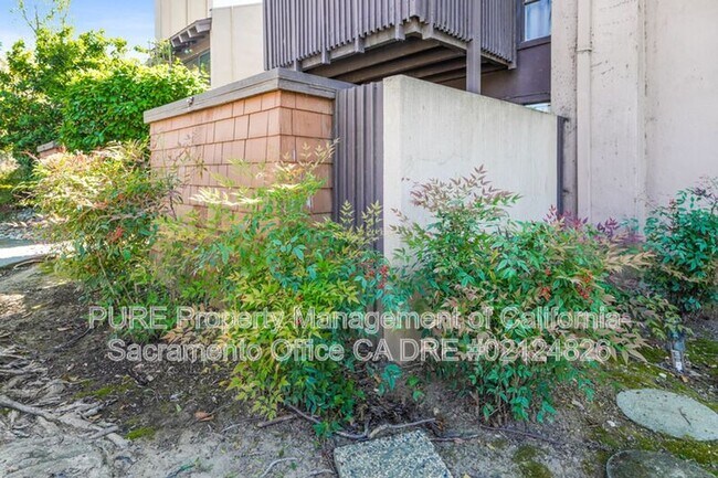 Building Photo - 2229 Woodside Ln