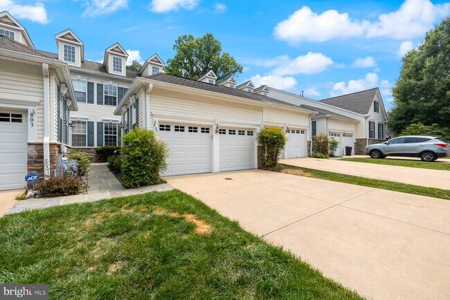 Primary Photo - 805 Thicket Ct