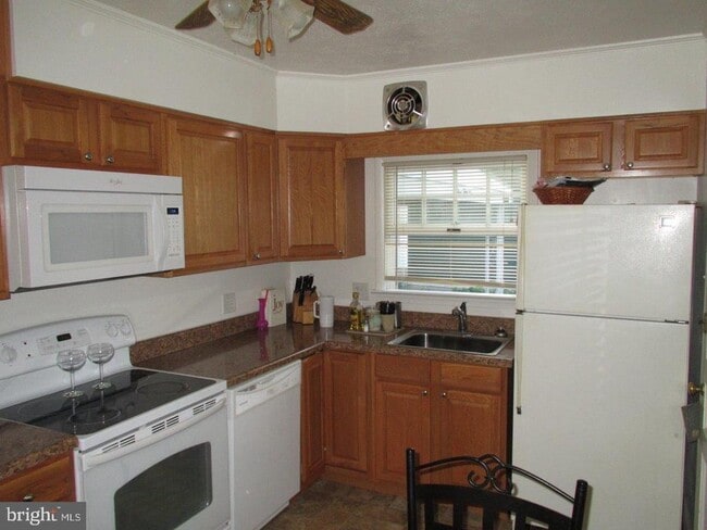 Building Photo - 955 Terrace Ln