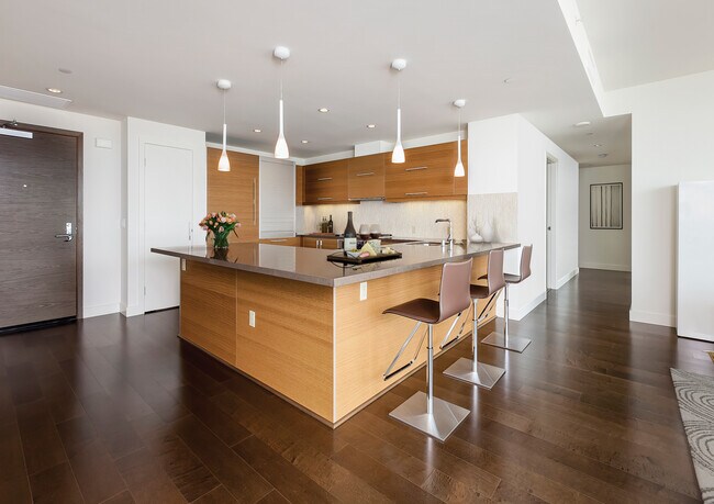 open kitchen - 480 Mission Bay Blvd N
