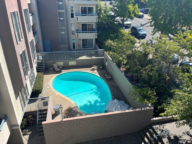 Pool - 385 Jayne Ave