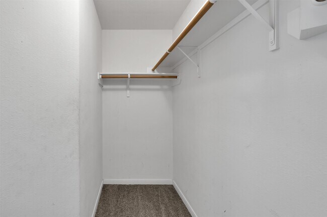 Building Photo - 4322 Medina River Loop