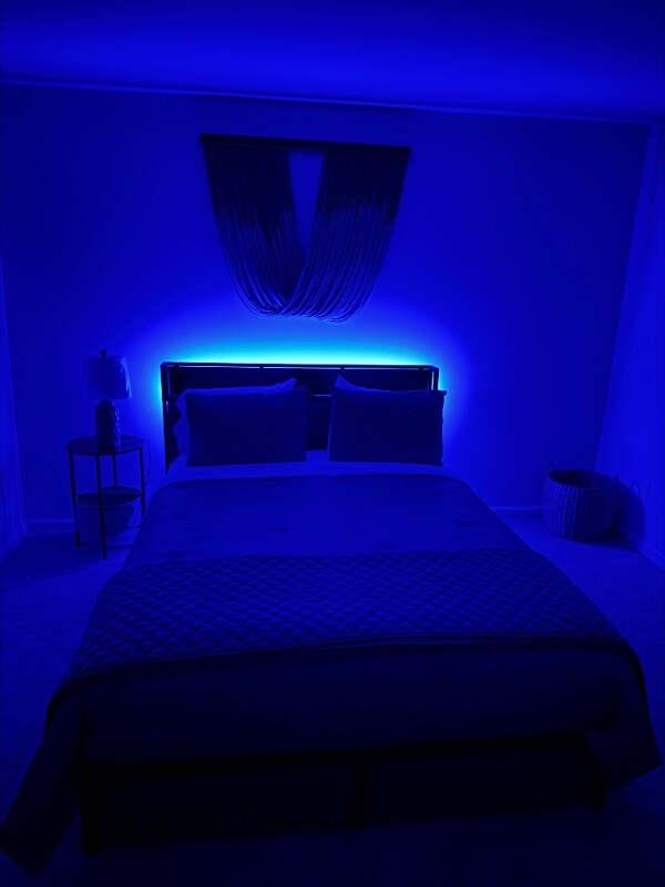 Building Photo - 533 Gantt St