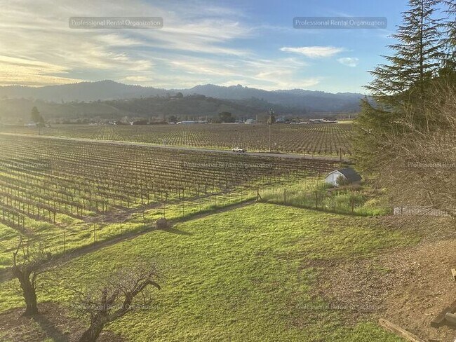 Building Photo - A price and views that can't be beat- Upper Flat with deck & expansive Vineyard and Sunset views