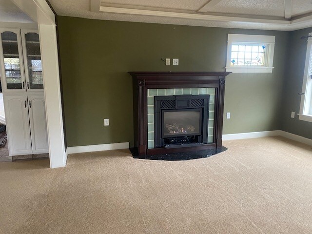 LR Fireplace - 4940 Cedar St