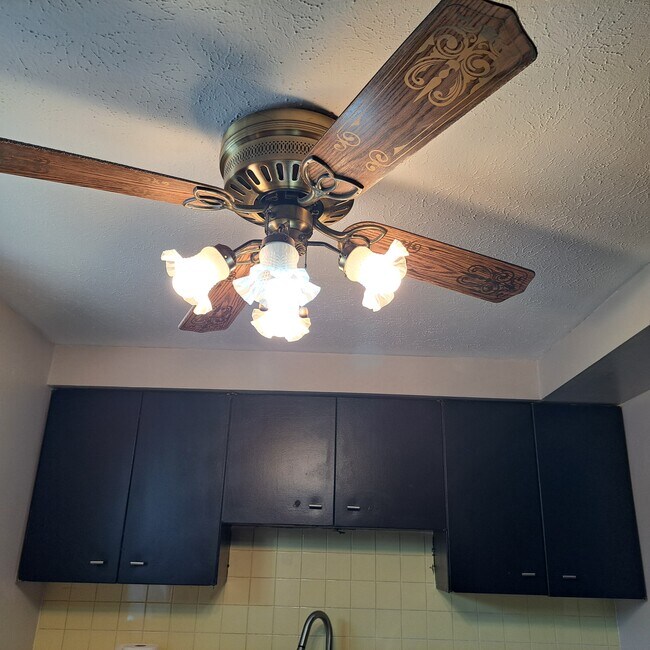 Ceiling Fan (four rooms0 - 23756 Banbury Cir