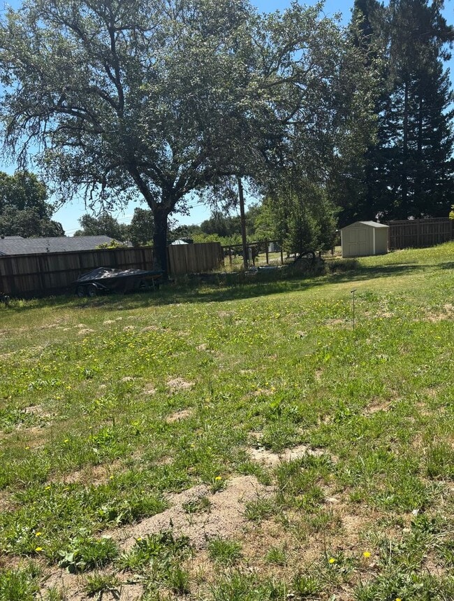 Building Photo - Large Renovated Studio on Large Lot