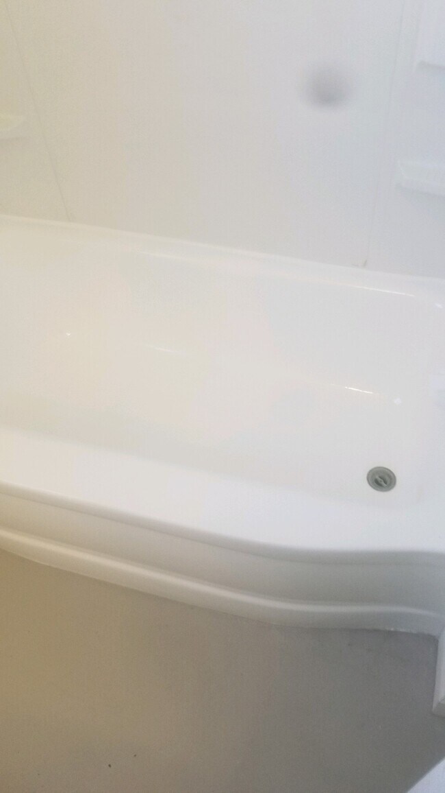 Building Photo - 1117 Evergreen Dr