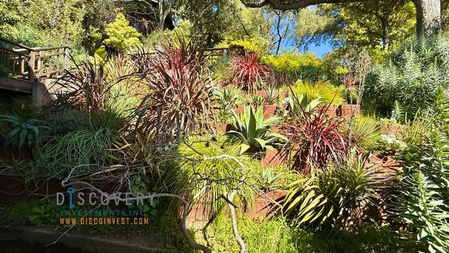 Building Photo - Panoramic Hill Estate with Sweeping Views