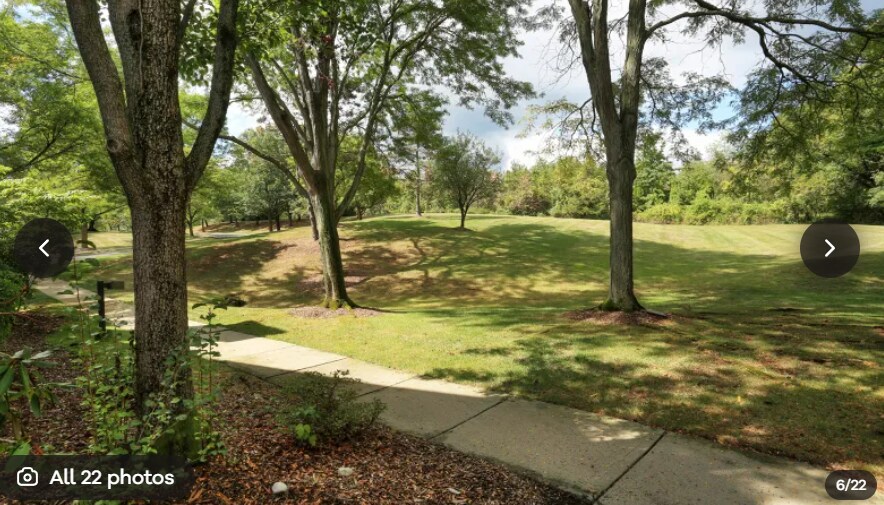 Yard Area - 115 Countryside Dr