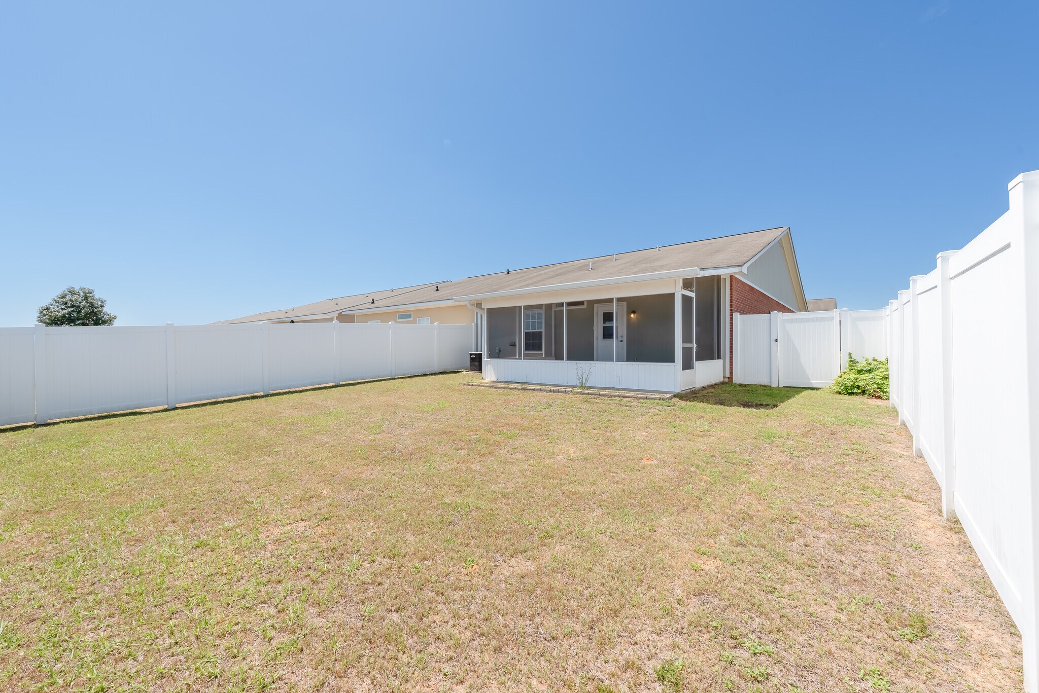 Backyard - 184 Concord Ave