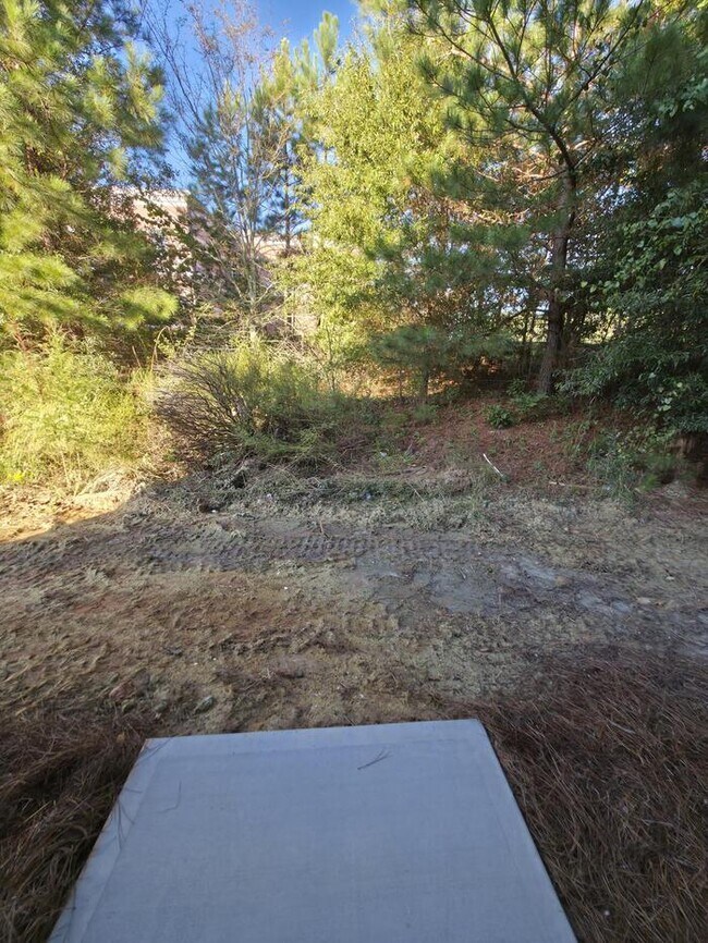 Building Photo - 29 Charlotte Pl