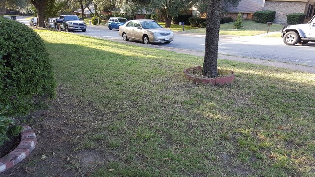Building Photo - 9716 Summerwood Cir
