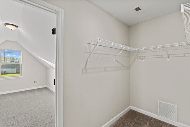 Building Photo - 707 Pandion Ct