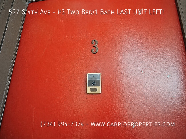 Building Photo - 527 S 4th Ave