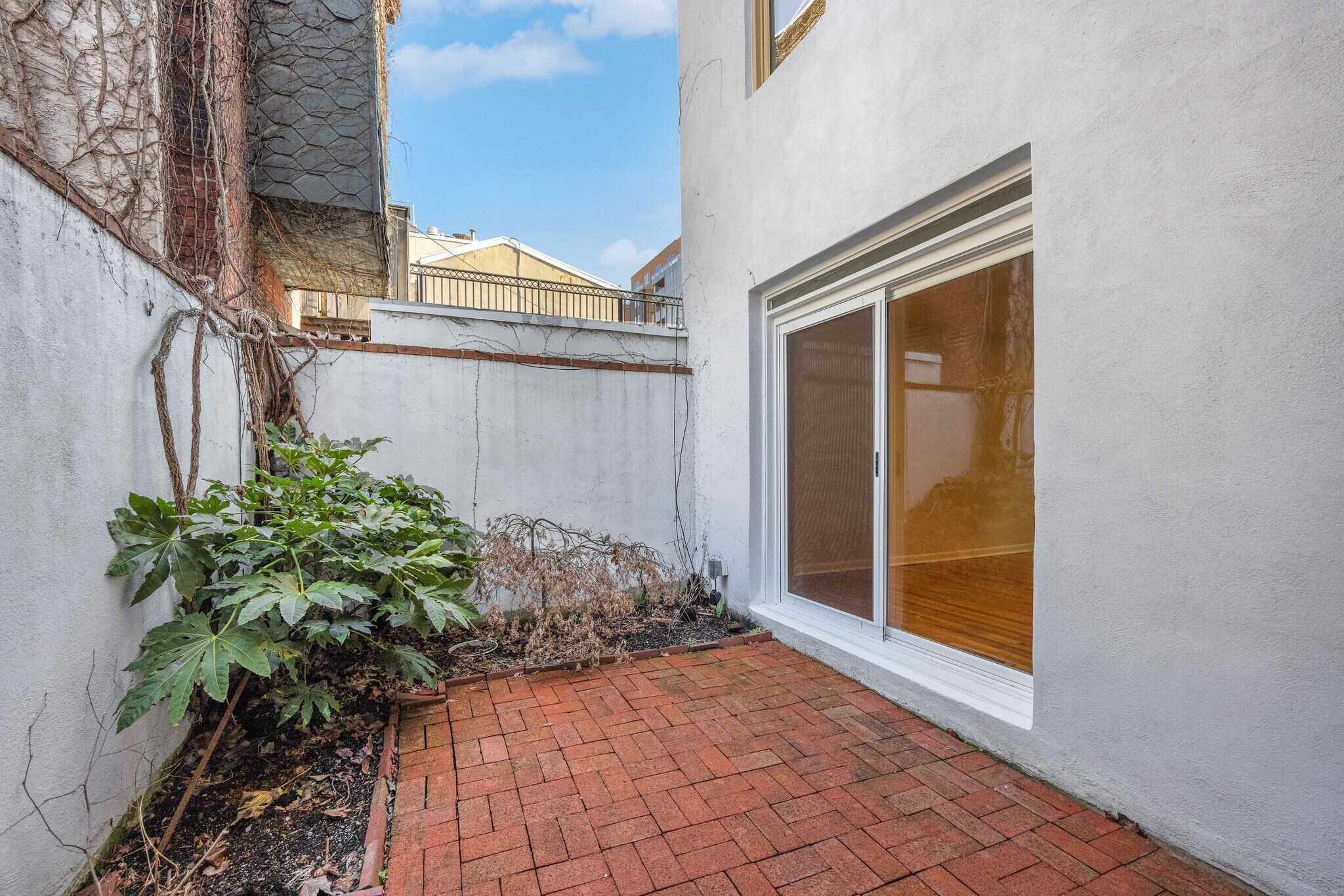 Large private patio - 220 S Sartain St