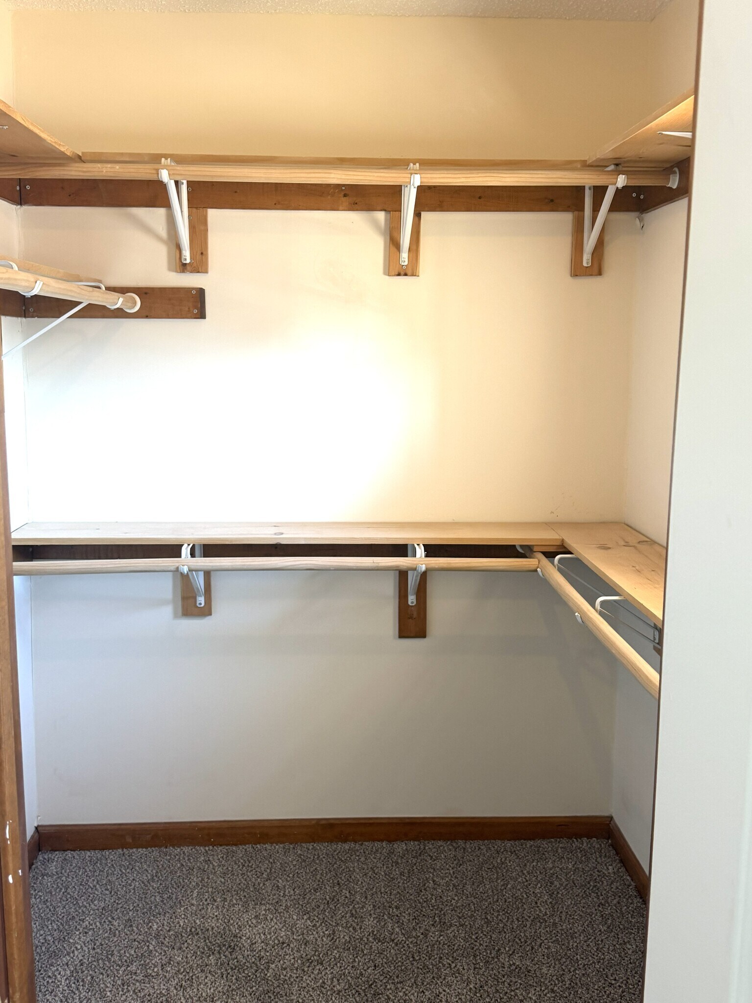 Building Photo - 1409 Sampson Ln